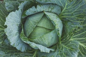 Cabbage Beets Best Vegetables to Juice