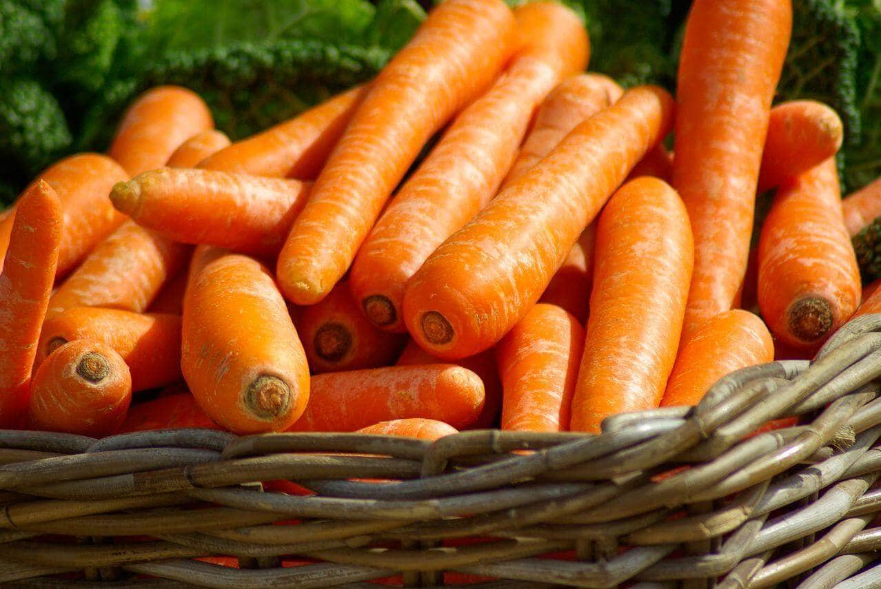 Carrots Best Juice Recipes for Beginners