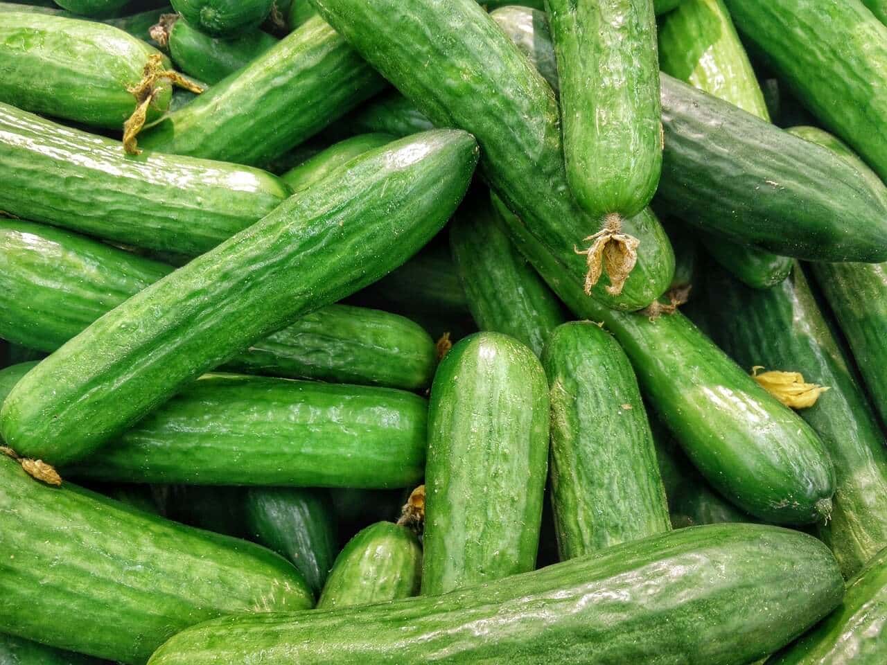 Cucumbers Low Carb Juice 