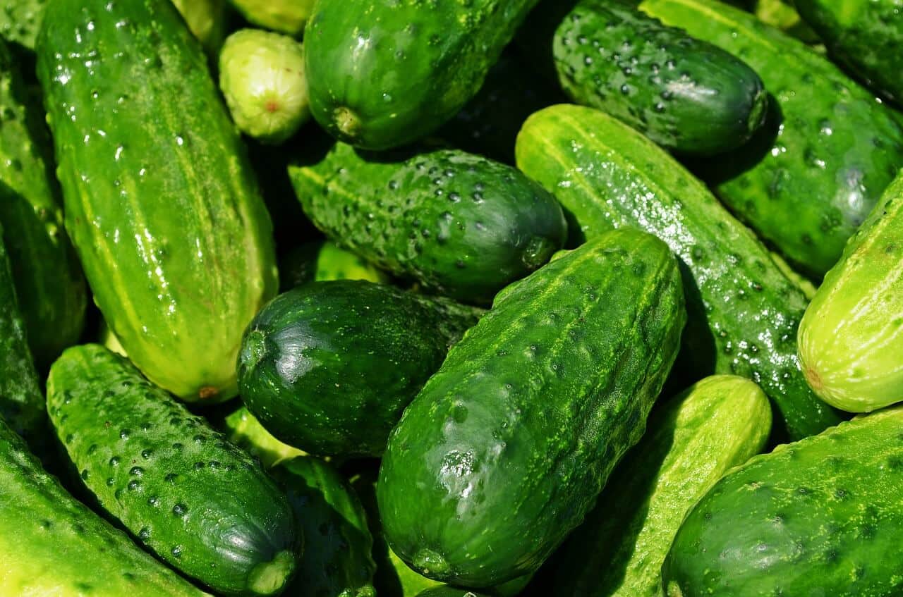 Cucumbers Best Juice Recipes for Beginners