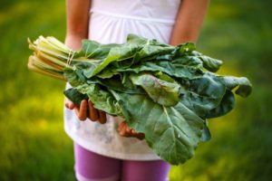 Swiss Chard Low Carb Juice