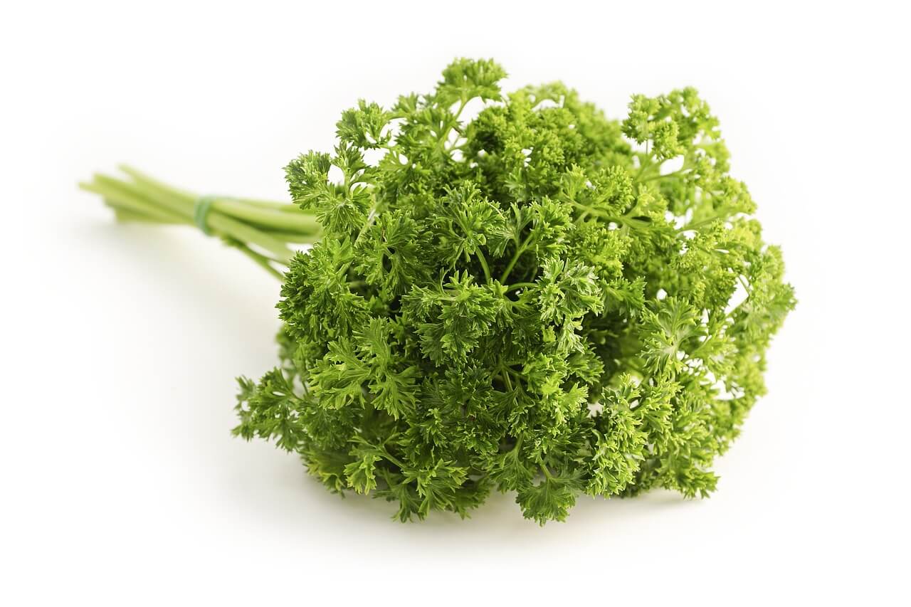 Parsley Low Carb Juice 