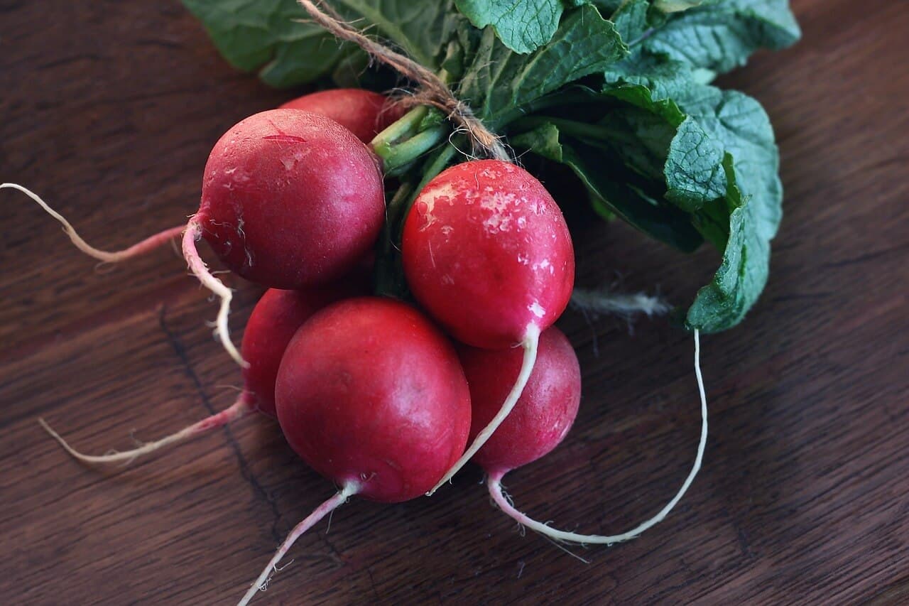 Radishes Low Carb Juice 