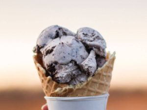 Vegan Ice Cream Ninja Blender