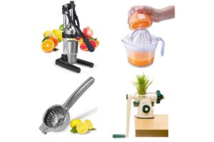 Best Manual Juicers