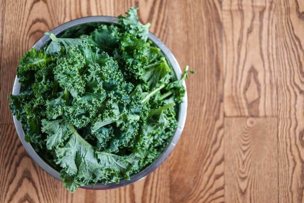 Freshly Washed Kale in Bowl