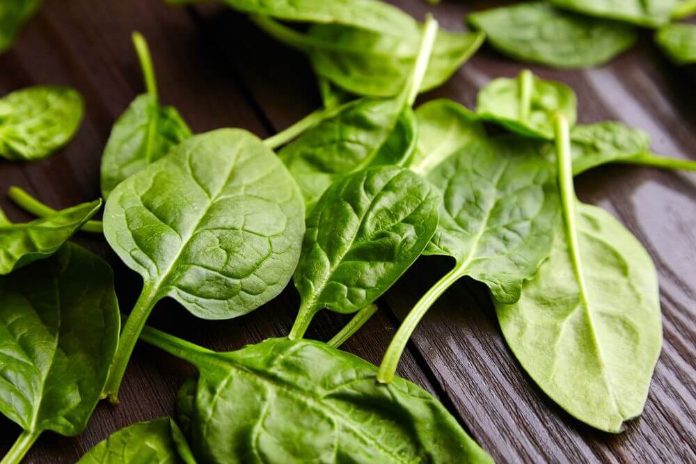 Fresh Spinach Leaves
